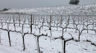 Recordeu la nevada de fa vuit anys?