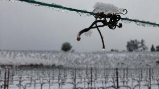 Recordeu la nevada de fa vuit anys?