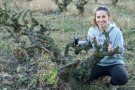 El 12% dels conreus de la demarcació de Barcelona són d’agricultura ecològica