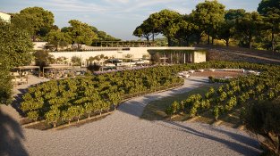 Entrada del Celler Marfil