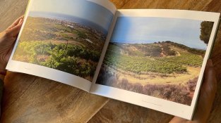 Ja és a les llibreries el llibre Denominació d’Origen Alella