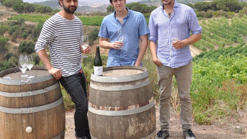 Els Amics de les Arts, dalt de tot de "l'anfiteatre" d'Alta Alella, on van degustar una copa d'AA Bruel.