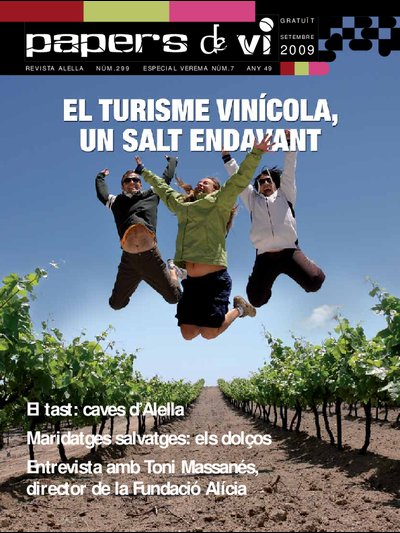 Papers de vi 2 - Verema 2009