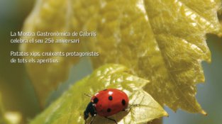 Captura de la portada guanyadora, que mostra una foto feta per Òscar Pallarès.