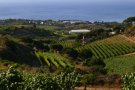 Premien Alta Alella amb el guardó al millor celler de Catalunya