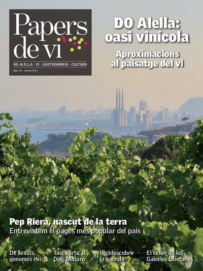 Papers de vi 24 - Verema 2013