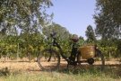 El projecte “Burricleta” de Bouquet d'Alella guanya un concurs a la millor proposta enoturística