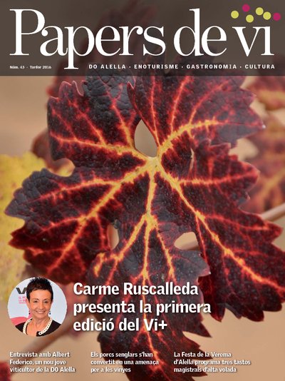Papers de vi 43 - Tardor 2016