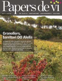 Papers de vi 49 - Tardor 2017
