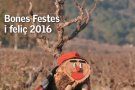 El número 38 de Papers de vi (Nadal 2015) ja està disponible al nostre web