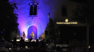 Ambient màgic a un dels concerts de l'edició 2015 del Festival