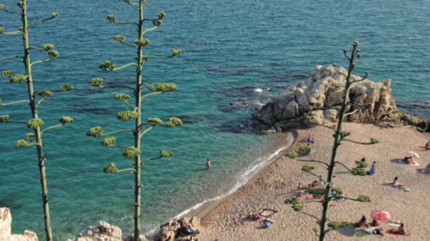 Roca Grossa, a Calella