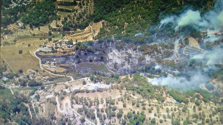 Les vinyes de Can Canjon, a la part superior esquerra de la foto, van veure el foc de ben a prop