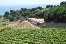 Menció especial per a Alta Alella a la 3a Nit de l’Enoturisme a Catalunya