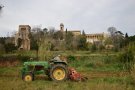 Recuperen la vinya a Sant Jeroni de la Murtra
