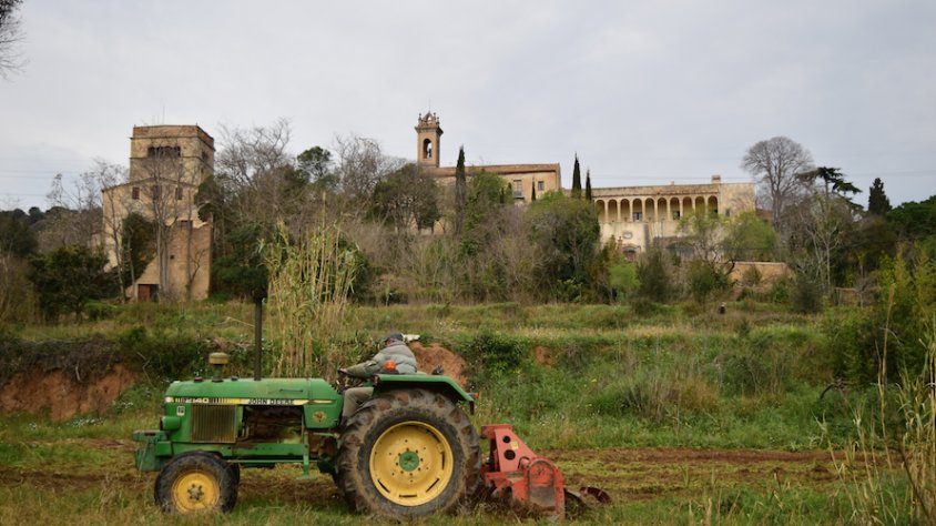 Un tractor prepara les feixes per plantar-hi nova vinya