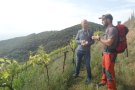 Trekking entre vinyes i boscos de la DO, nova proposta de la Ruta del Vi