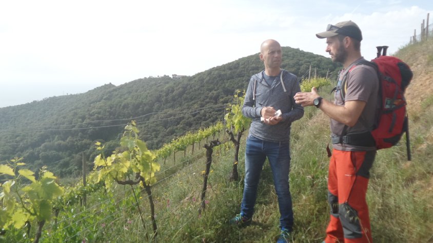 Lluís Pujol i Jacinto del Pozo conversen a la vinya del Turó del Galzeran