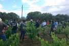 La Besàvia es presenta en societat