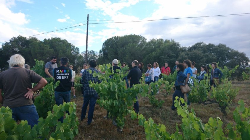 Pep Pou, al fons, mostrant la vinya als visitants