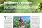 De setembre a setembre: un resum del darrer curs vinícola