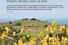 Repensar el paisatge (3): Vinyes verdes vora el mar