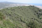 El Parc de la Serralada Litoral fa 25 anys
