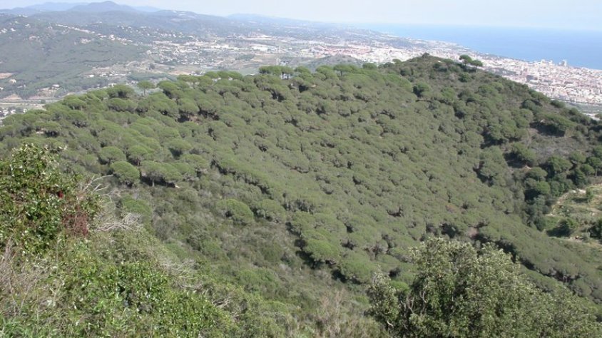 Vista des de Cabrera de Mar, mirant cap al mar.