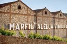 Visita, demà dissabte, el celler Alella Vinícola amb l'excusa del Vi+