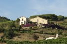 Bouquet d'Alella, a Alemanya amb el Consell Comarcal del Maresme