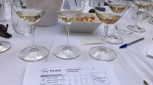 Fitxa de valoració del concurs Grenaches du Monde