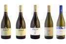 Quim Batlle renova la imatge de tota la gamma de vins