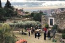 Els cellers de la Ruta del Vi DO Alella aposten per activitats singulars i de temporada