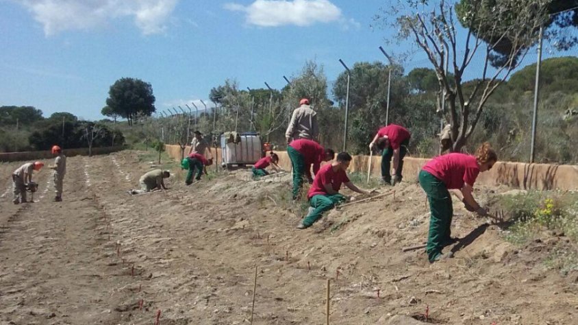 Alumnes del curs de Floricultura i Horticultura de la Casa d’Oficis durant la plantació