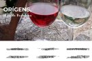 Orígens ja té pàgina web
