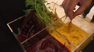 Del nostre hort: remolatxa i pastanaga (Les Cols)