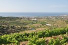 Poesia i música es donaran cita mirant al mar des de les vinyes de la vall de Rials (Alella)