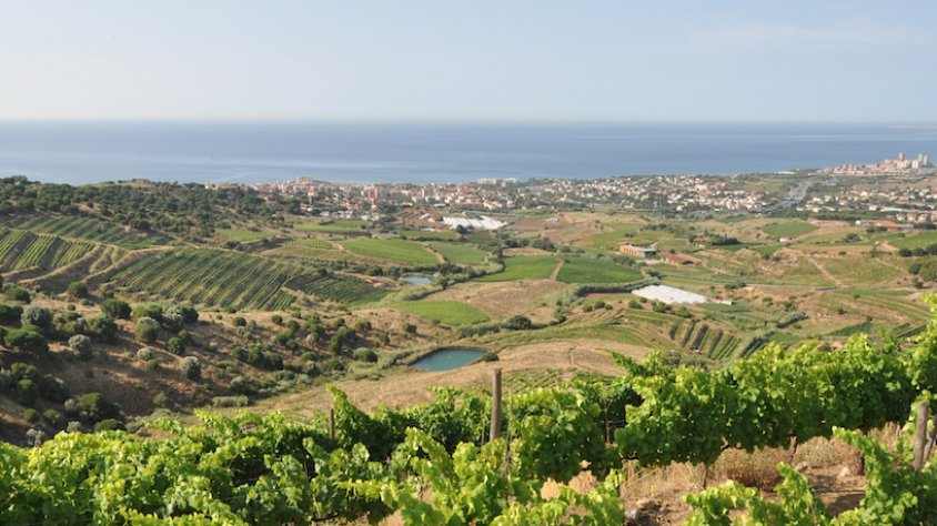 La vall de Rials, de cara al mar