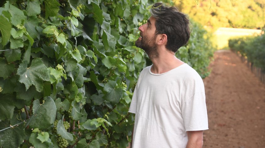 Joan Dausà contempla les vinyes de Cal Marquès