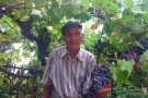 Francisco Roura, s’ha mort un pagès