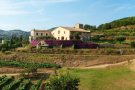 Aquest dijous, tast de vins entre tines a Bouquet d'Alella