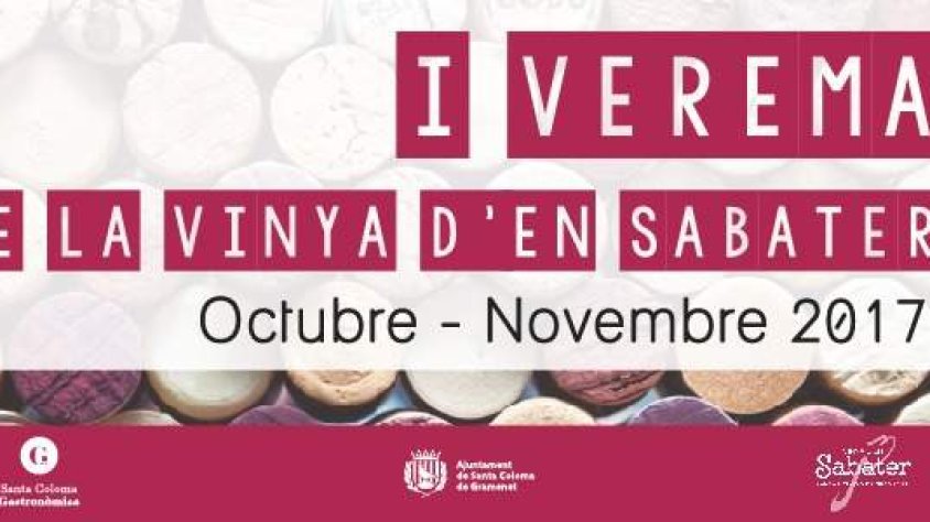 Cartell de l'edició passada del Raïm i Cultura