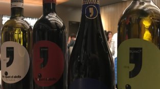 Vins de Bouquet d'Alella