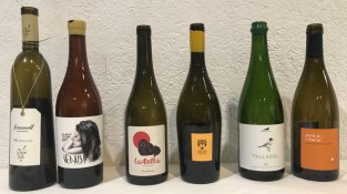 Els vins tastats