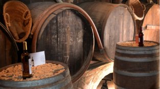 Vi, festa i tradicions catalanes a la presentació del primer DO Alella de 2018