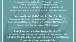 Vegeu els tallers que s'han programat a la 1a Mostra de Vins Catalans de Sorli Emocions