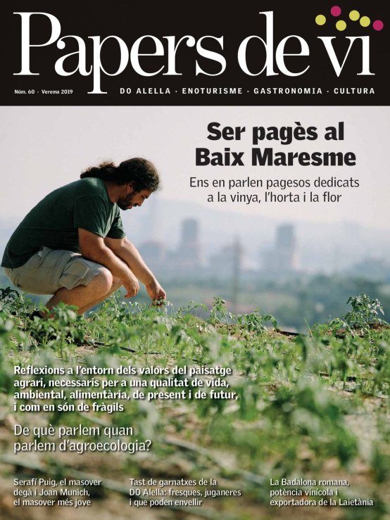Papers de vi 60 - Verema 2019
