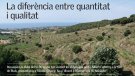 La Ruta del Vi DO Alella ens porta a Alella i El Masnou
