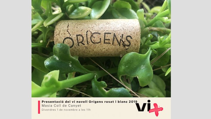 Com mana la tradició, l'1 de novembre es presenta a Canyet el vi Orígens 2019