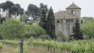 El diari Ara fa promoció del vi DO Alella a través de Badalona